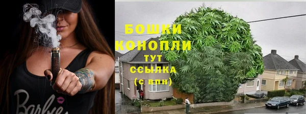 наркотики Бородино