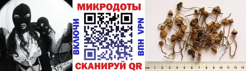 Галлюциногенные грибы прущие грибы  Катайск 